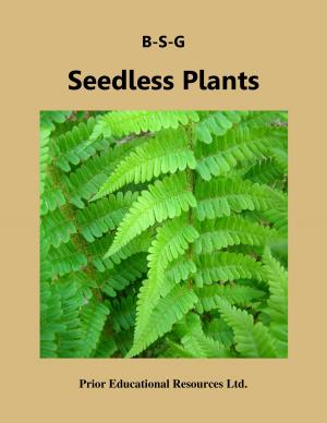 bigCover of the book Seedless Plants by 