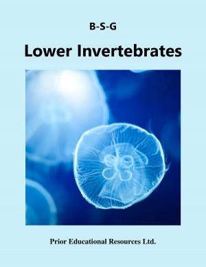 Book cover of Lower Invertebrates