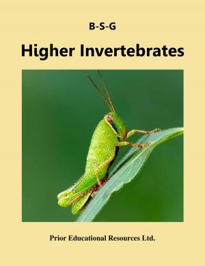 Book cover of Higher Invertebrates