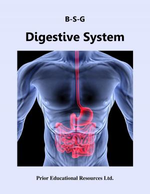 bigCover of the book Digestive System by 