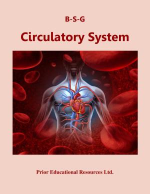 Cover of the book Circulatory System by Blandine Calais-Germain, François Germain