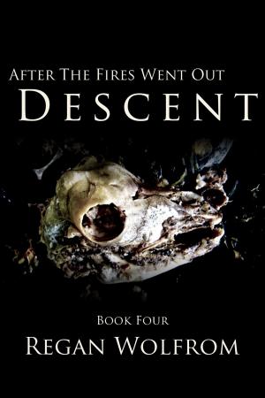 Cover of the book After The Fires Went Out: Descent by Terry C. Simpson