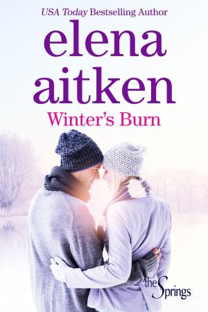 Cover of the book Winter's Burn by Lisa De Jong