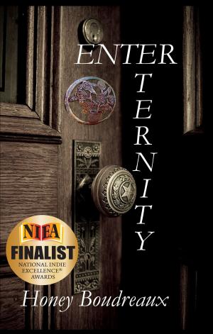 Cover of the book Enter Eternity by Mary Cote