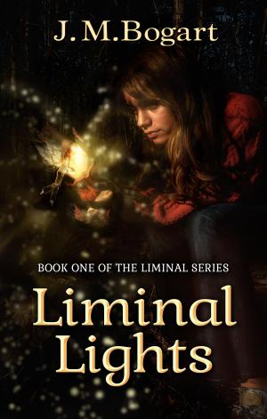 Cover of the book Liminal Lights by JoAnna S. Morris