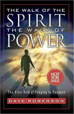 Book cover of The Walk of the Spirit: The Walk of Power: The Vital Role of Praying in Tongues