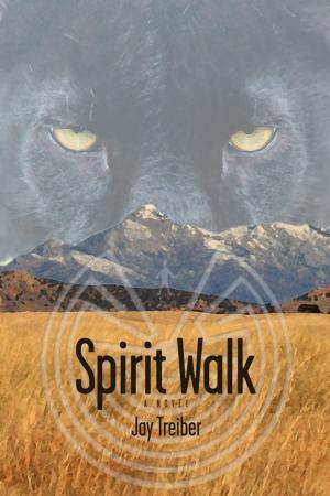 Cover of the book Spirit Walk by Braden Hepner