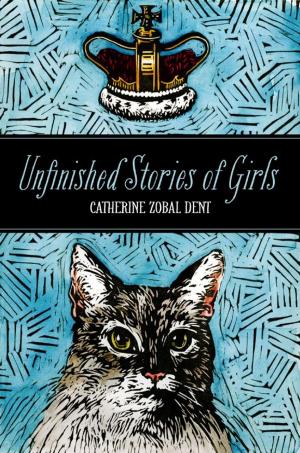 Cover of the book Unfinished Stories of Girls by Seth Steinzor