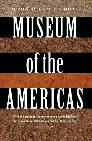 Cover of the book Museum of the Americas by Rob Williams