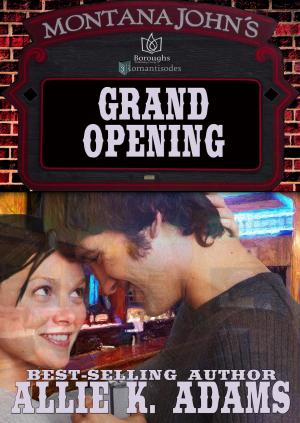 Book cover of Grand Opening