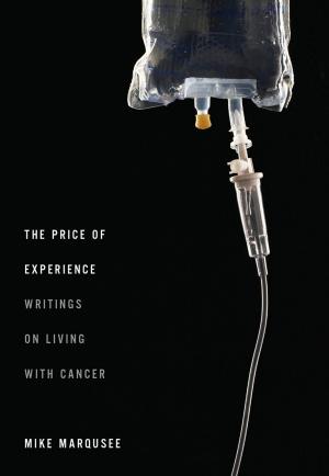 Cover of the book The Price of Experience by Buhran Sönmez