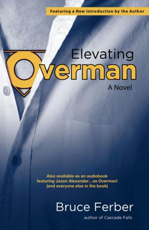 Cover of the book Elevating Overman by R. E. Warner