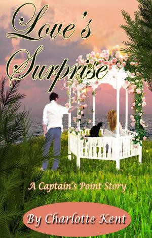 Cover of the book Love's Surprise by D. A. Grady