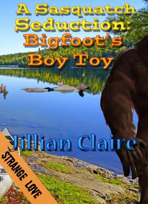 Cover of the book A Sasquatch Seduction: Bigfoot's Boy Toy by Destiny Blaine