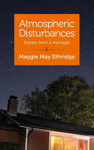 Book cover of Atmospheric Disturbances