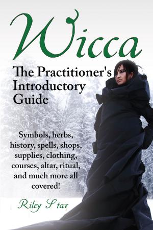 Cover of the book Wicca by Ruth Edna Kelley