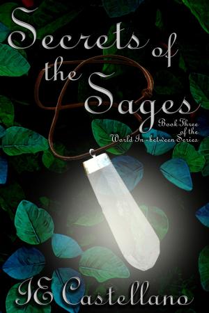 Book cover of Secrets of the Sages