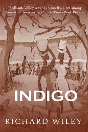Cover of the book Indigo by Jen Michalski