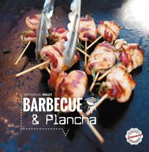 Cover of the book Barbecues et planchas by Anna Austruy