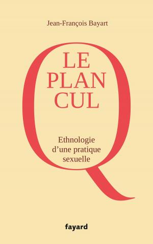 Cover of the book Le Plan cul by Patrick Poivre d'Arvor