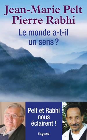 Book cover of Le monde a-t-il un sens ?