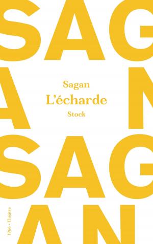 Cover of the book L'écharde by Judith Perrignon