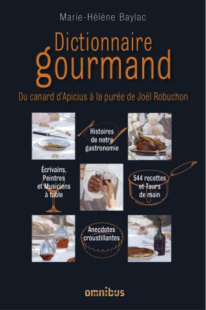 Cover of the book Dictionnaire gourmand by Brigitte VAREL