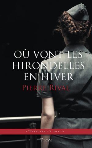 Cover of the book Où vont les hirondelles en hiver by Michel ABITBOL