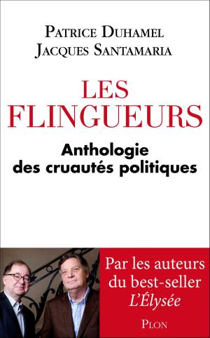 Cover of the book Les flingueurs by Eric LE NABOUR