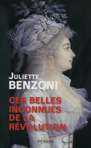 Cover of the book Ces belles inconnues de la Révolution by Françoise BOURDIN