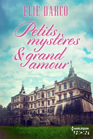 Cover of the book Petits mystères et grand amour by Marianne Morea