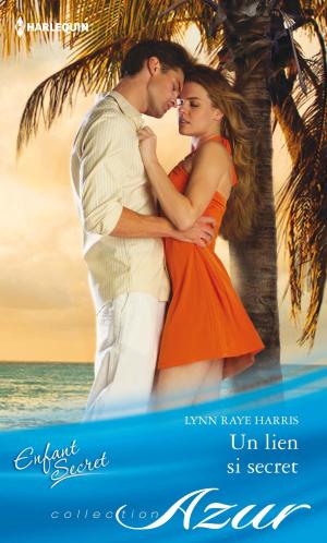Cover of the book Un lien si secret by Elle E. Kay