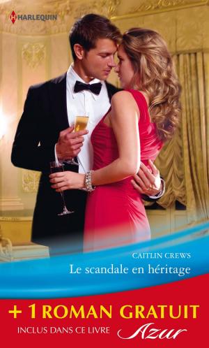 Book cover of Le scandale en héritage - La force du souvenir