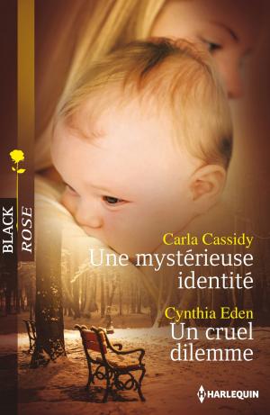 Cover of the book Une mystérieuse identité - Un cruel dilemme by Cat Schield, Jessica Lemmon, Katherine Garbera