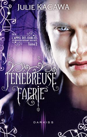 Cover of the book Ténébreuse Faérie by Lisa McMann