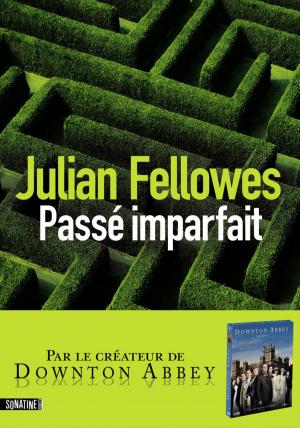 Cover of the book Passé imparfait by Jeremy GAVRON