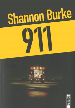 Cover of the book 911 by Karen MAITLAND