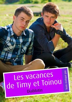 Book cover of Les vacances de Timy et Toinou (pulp gay)