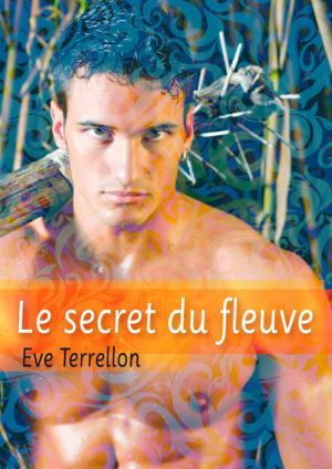 Cover of the book Le secret du fleuve - roman gay by Becky Due