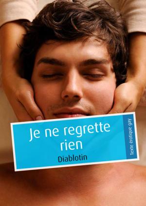 Book cover of Je ne regrette rien (pulp gay)