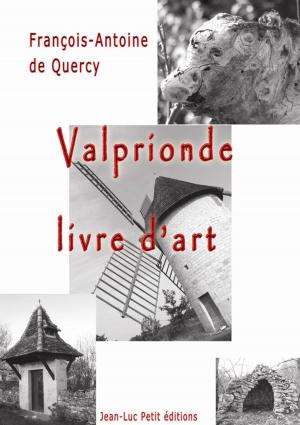 Cover of the book Valprionde, livre d'art by Jean-Luc Petit