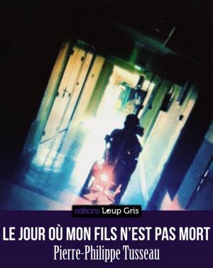 Cover of Le jour où mon fils n'est pas mort