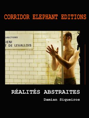 Cover of the book Réalités abstraites by Yann Verrier