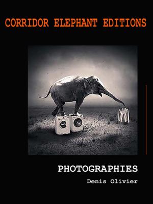 Cover of the book Photographies by Raphaël Blasselle