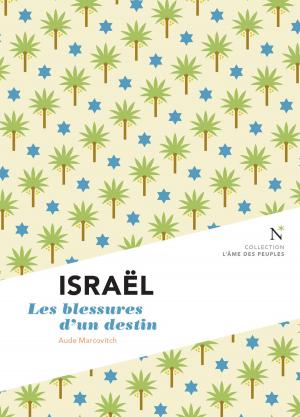 Cover of the book Israël : Les blessures d'un destin by Gaëlle Pério Valero