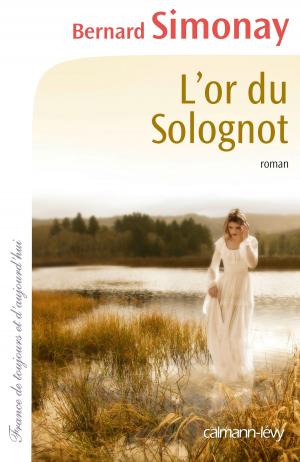 Cover of the book L'Or du Solognot by Edouard Brasey