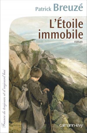 Cover of L'Etoile immobile by Patrick Breuzé, Calmann-Lévy
