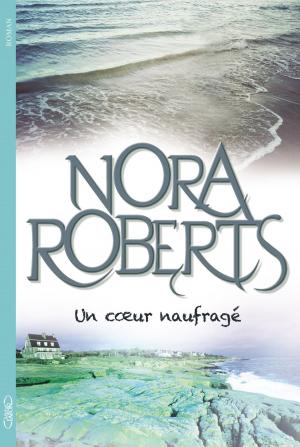 Cover of the book Un coeur naufragé by Elisabeth Brousse