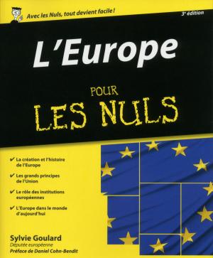 Cover of the book L'Europe Pour les Nuls by Emilie LARAISON