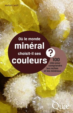Cover of the book Où le monde minéral choisit-il ses couleurs ? by Bernadette Bensaude-Vincent